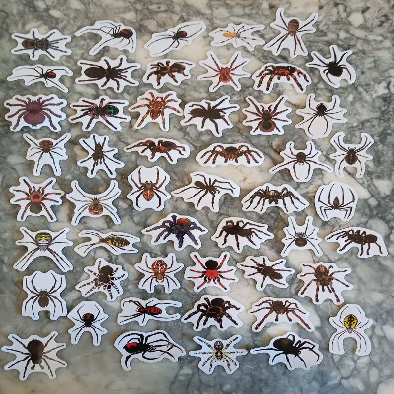 Stickers mygale x 50
