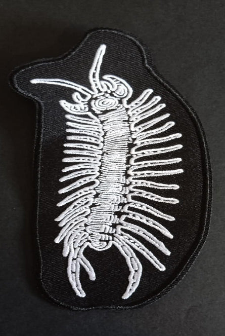Patch scolopendre centipède