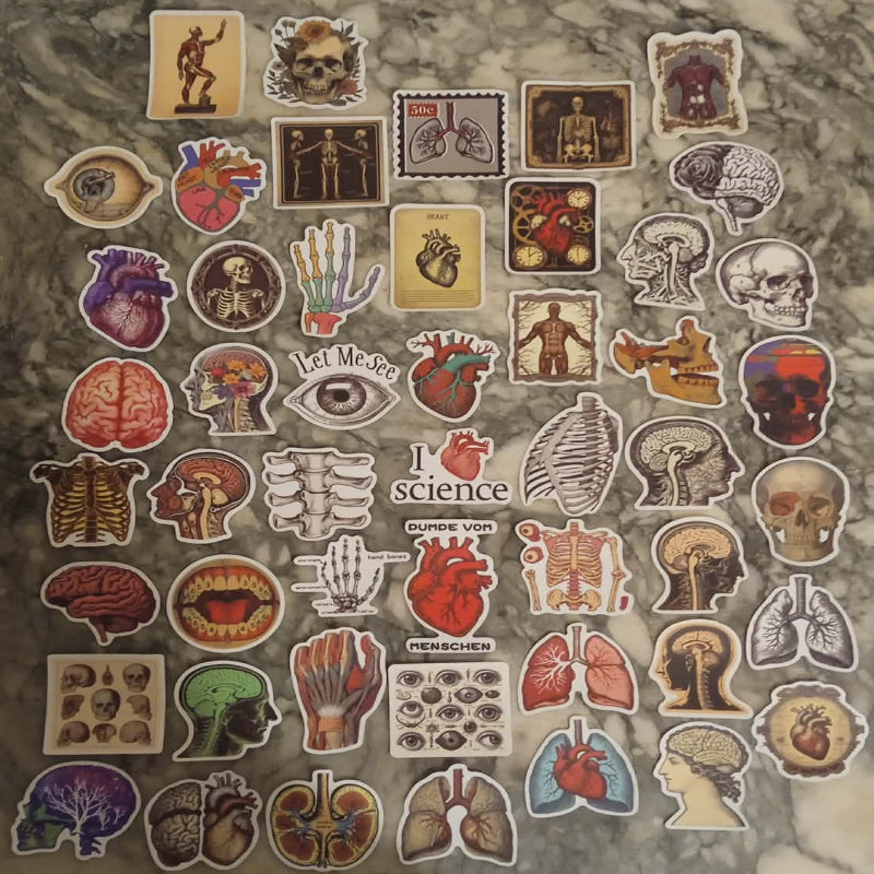 Stickers Anatomie couleur x 50