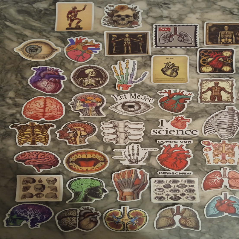 Stickers Anatomie couleur x 50
